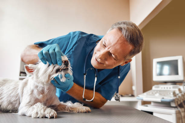 Best After-Hours Emergency Dentist in Monroe, LA